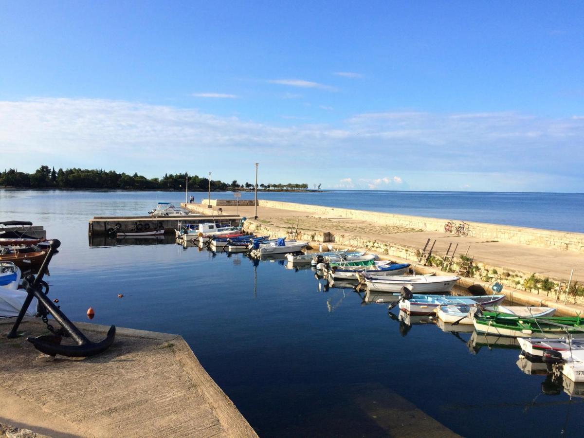 Todor Seaside *