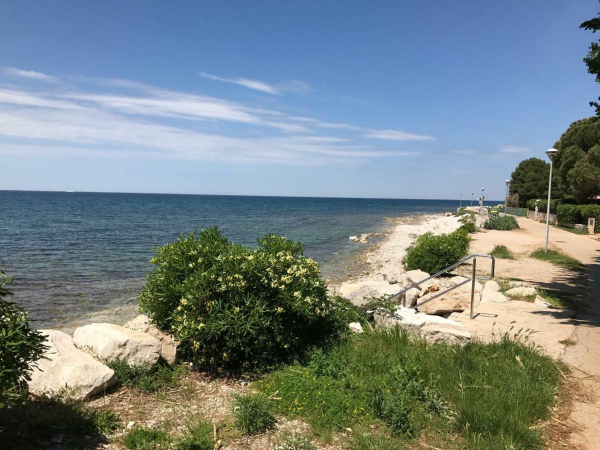 Todor Seaside *